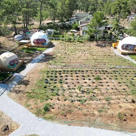 Pavlonyaguestfarm Dome House 1 Apartament Marmaris