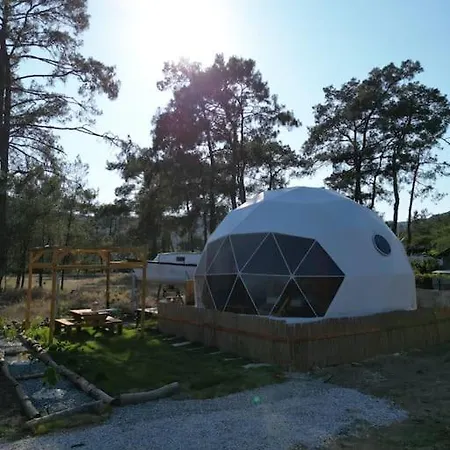 Pavlonyaguestfarm Dome House 1 Apartament *